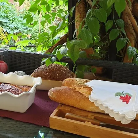 La Cordeline Bed & Breakfast Brignoles