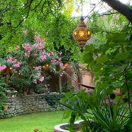 La Cordeline * Brignoles